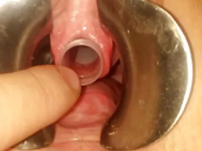 Qu'as-tu fait?!! Pourquoi tu me marches video x tukif dessus, idiot?