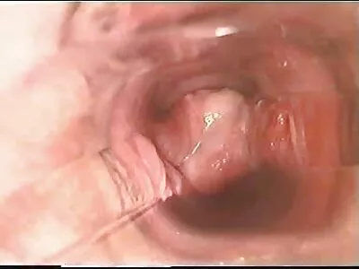 Les video xx gratuit couples quotidiens traitent de l'amour et du sexe